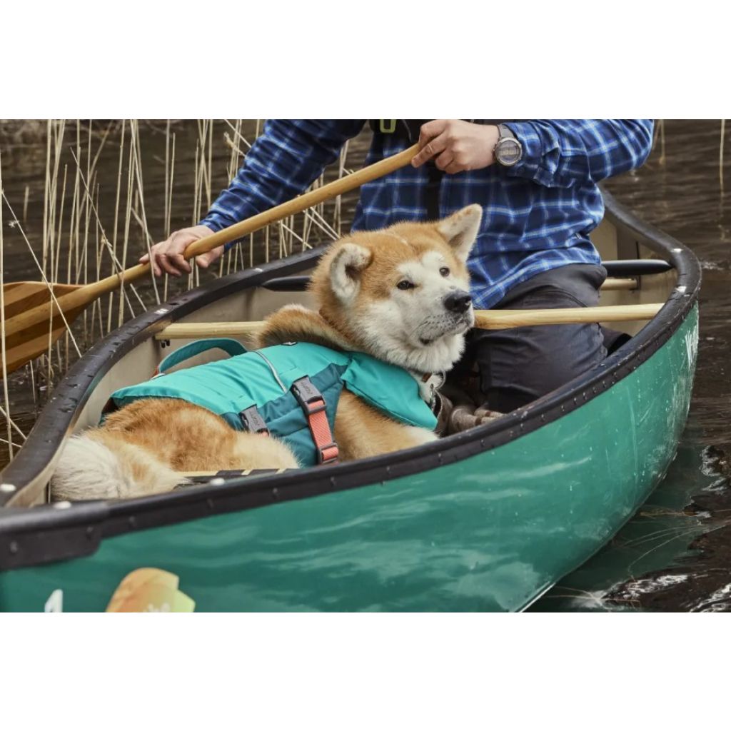 tw-11134207-23030-eyj87kbhdvovfd