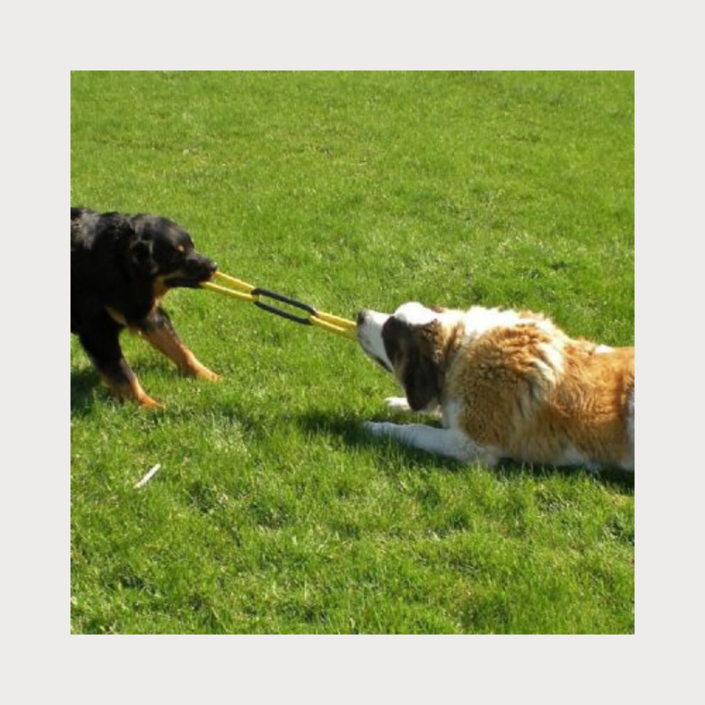 tw-11134207-7rbk3-m9fknx8379wm1c