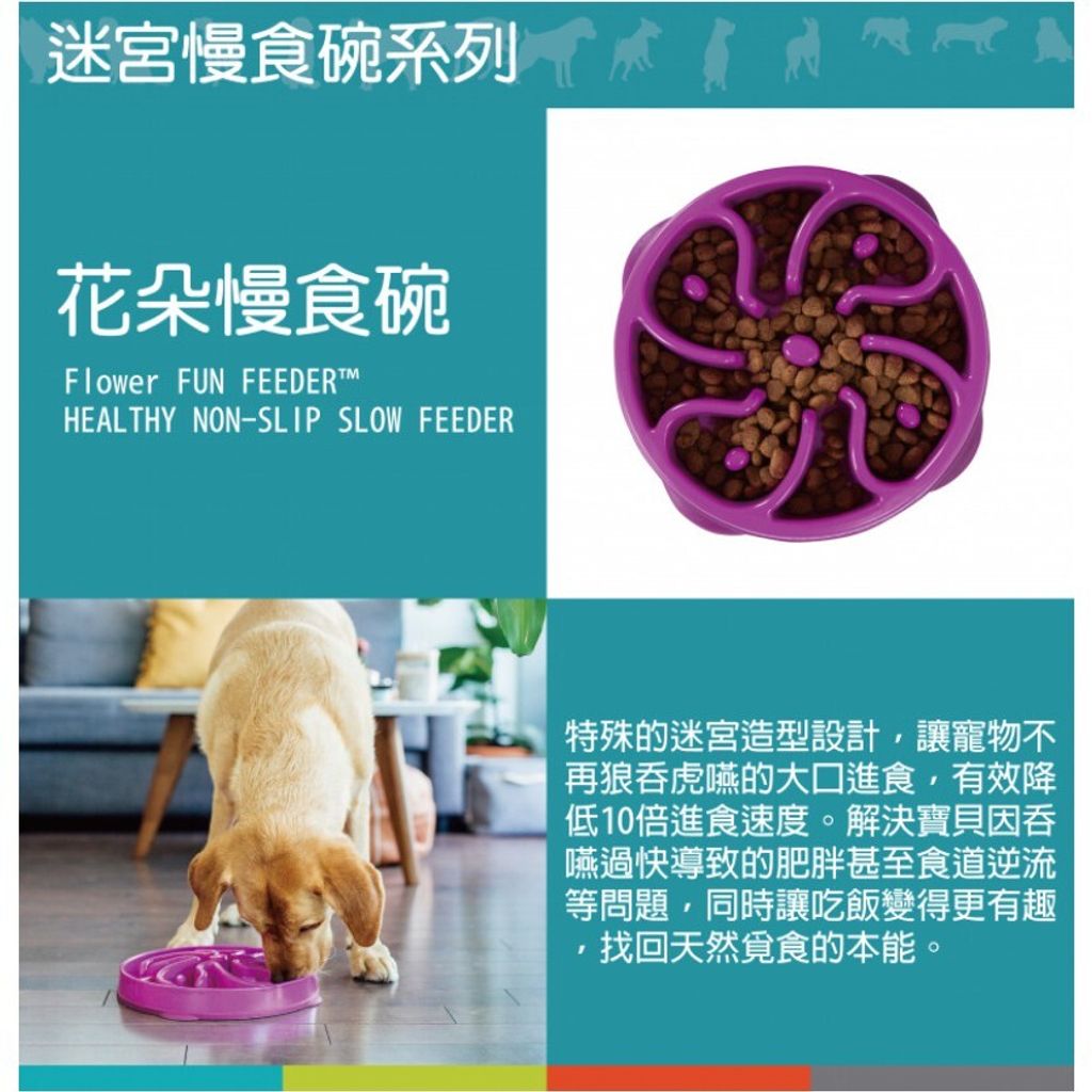 a7ac2c0fbb437949dc3832fae7046057