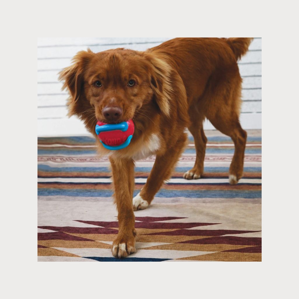 tw-11134207-7rbkd-m8lm3c76pmkl73