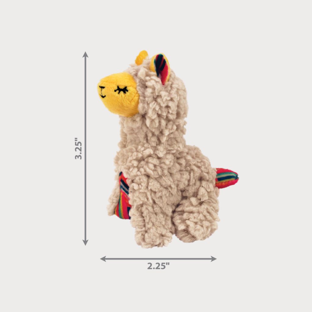 tw-11134207-7rbk5-m8n6asyl85pj88