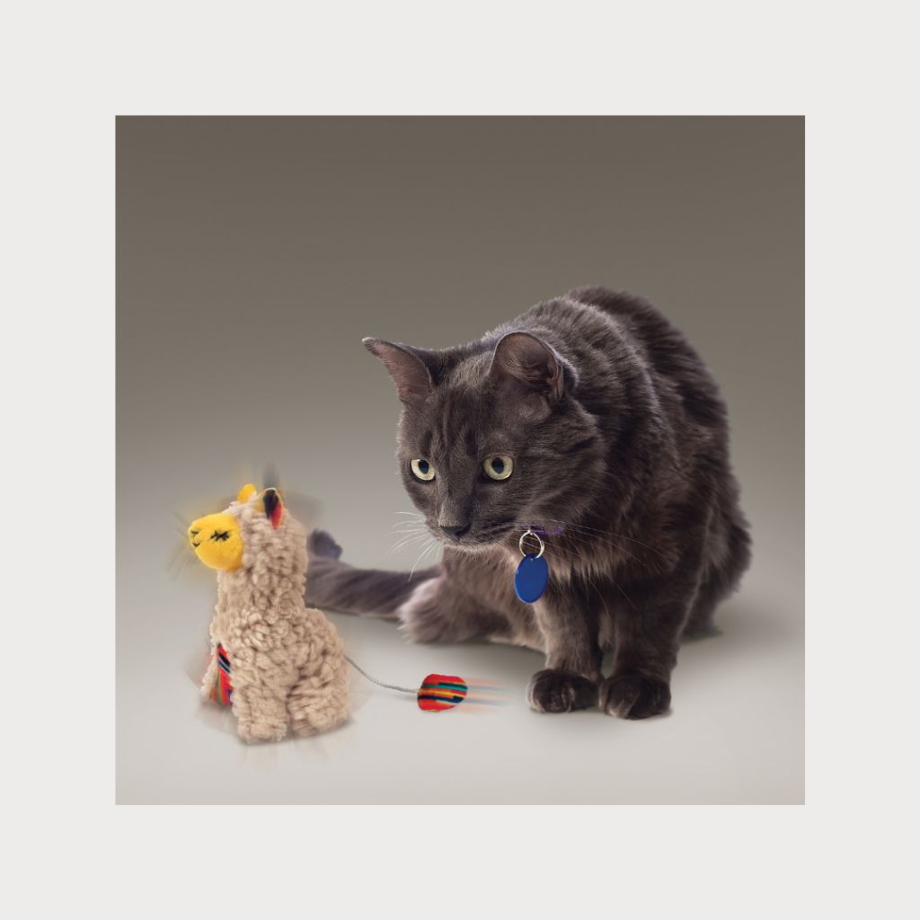 tw-11134207-7rbkd-m8n6aux2d0e178