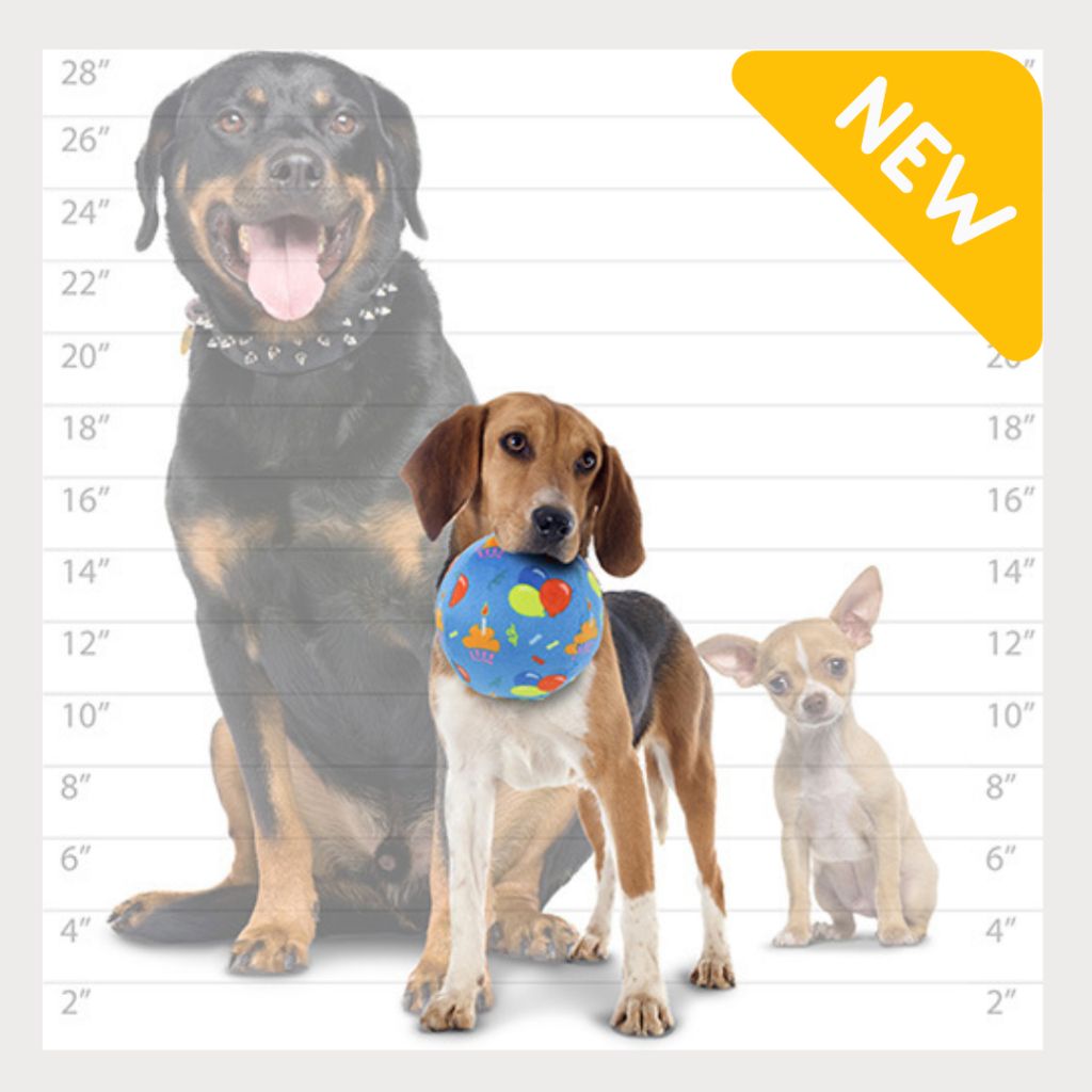 tw-11134207-7rbk2-m8vpb83jkyqv30