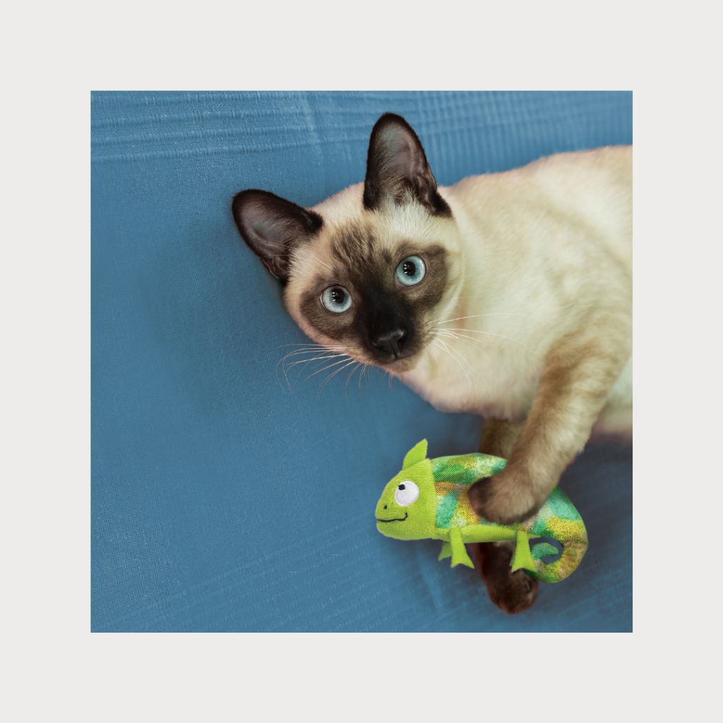 tw-11134207-7rbk2-m8lolcfr0mk997