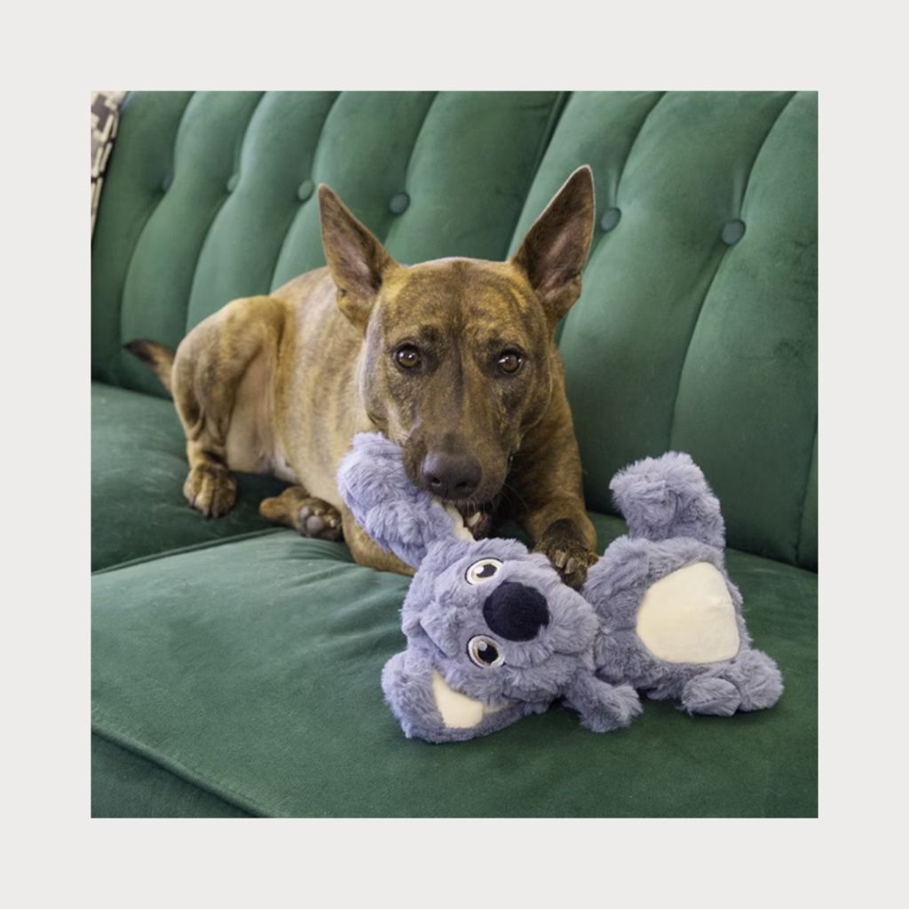 tw-11134207-7rbk5-m8likis7n9yxf5