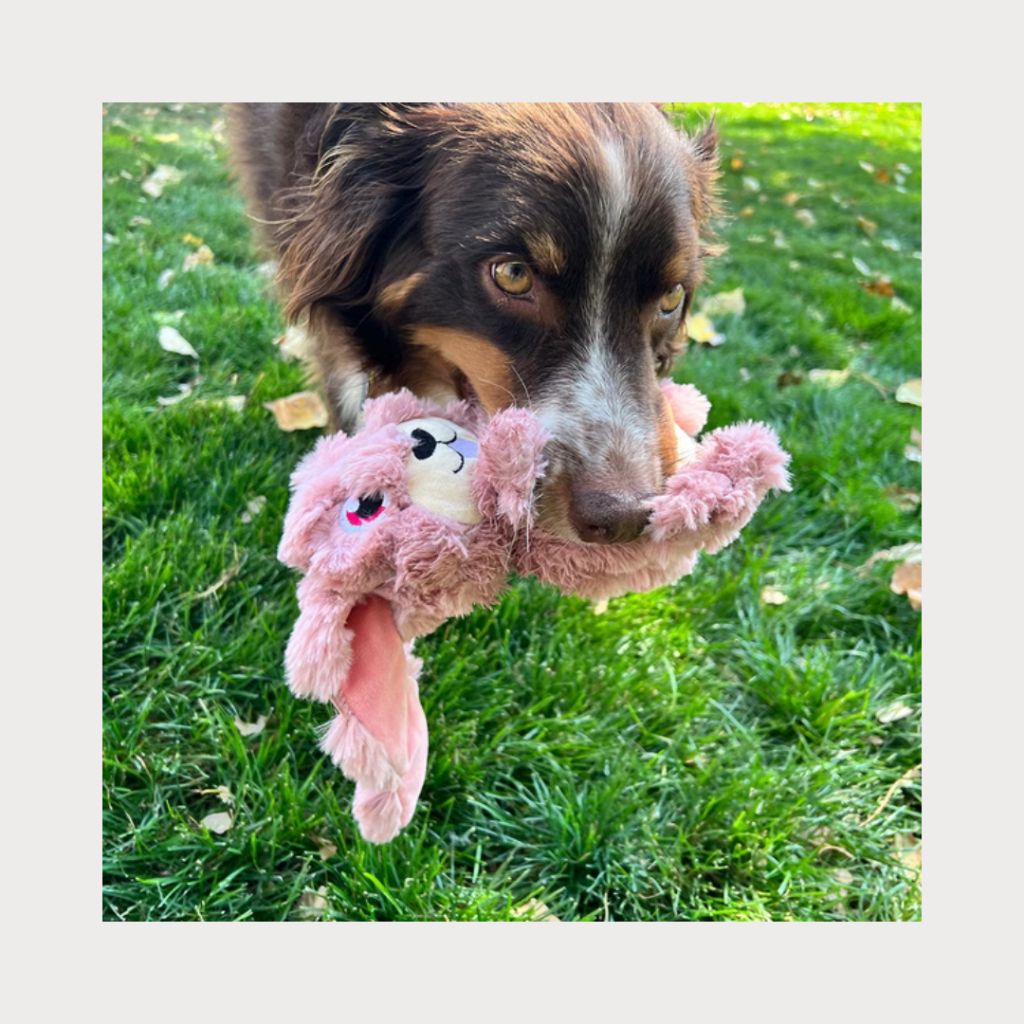 tw-11134207-7rbkb-m8likkqeskbr14