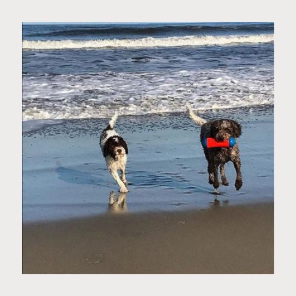 tw-11134207-7rbk0-m81hun0xabeh13