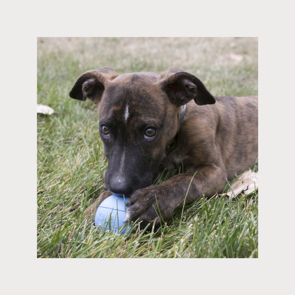 tw-11134207-7rbk4-m8lo1psp3lmh63