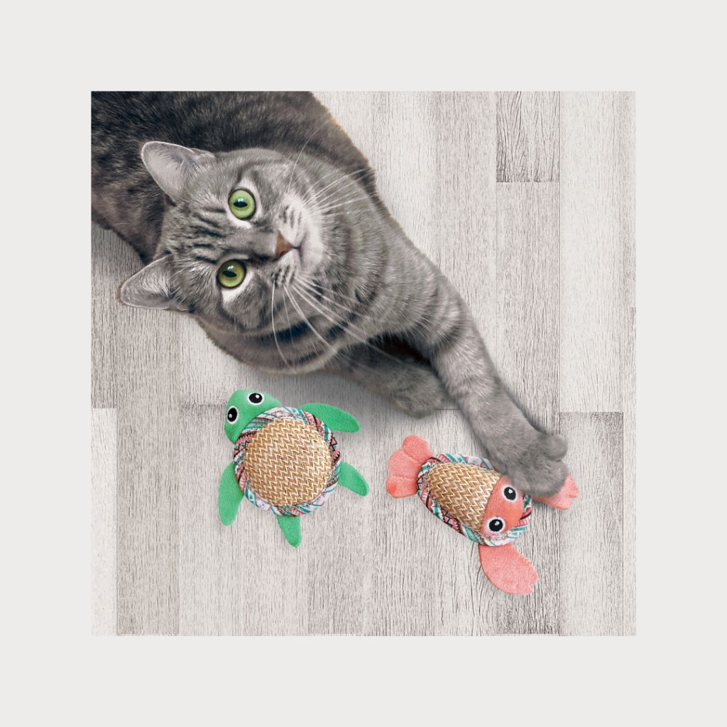 tw-11134207-7rbk9-m8lpi5um5ut55a