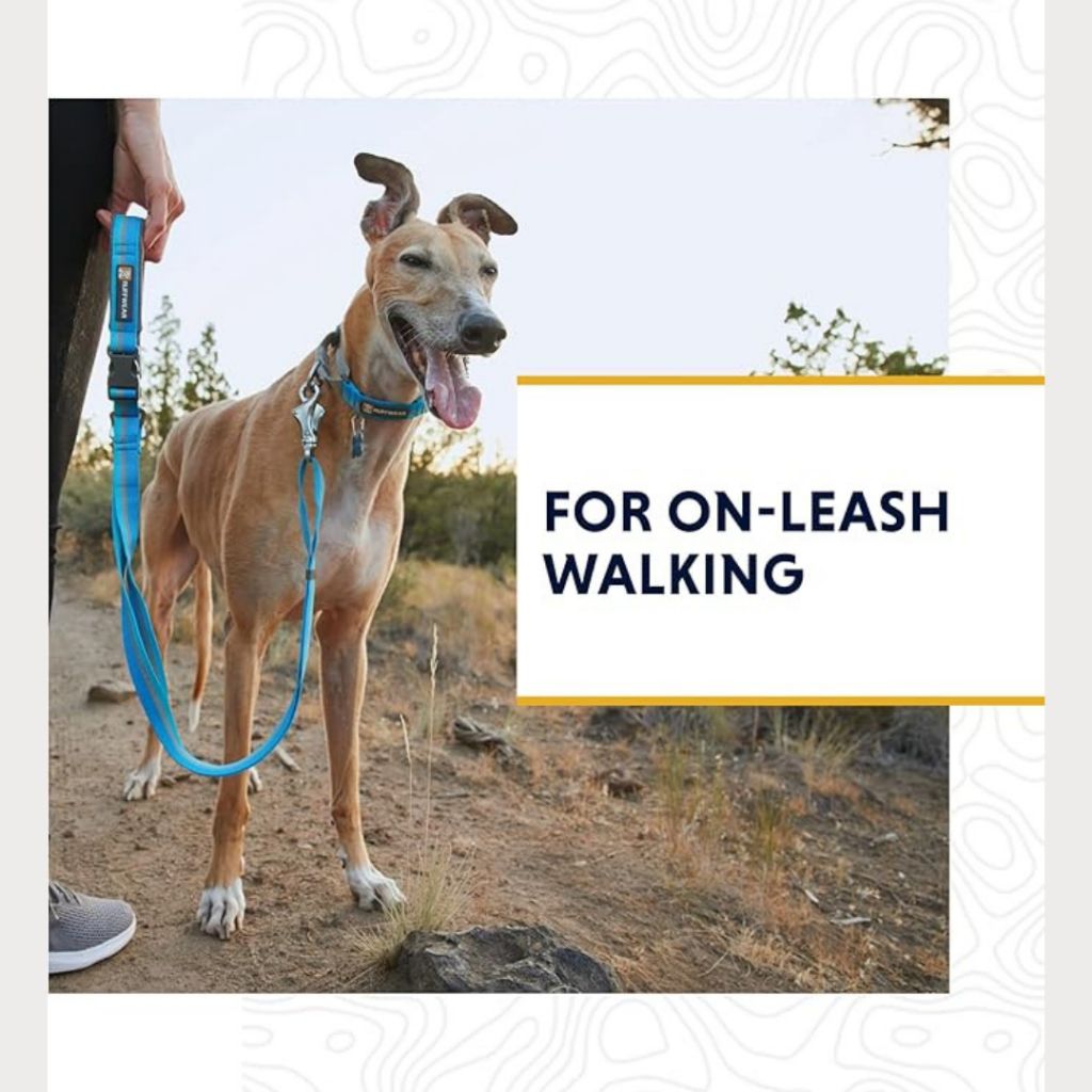 tw-11134207-7rbk5-m8n8f5lcxmsg28