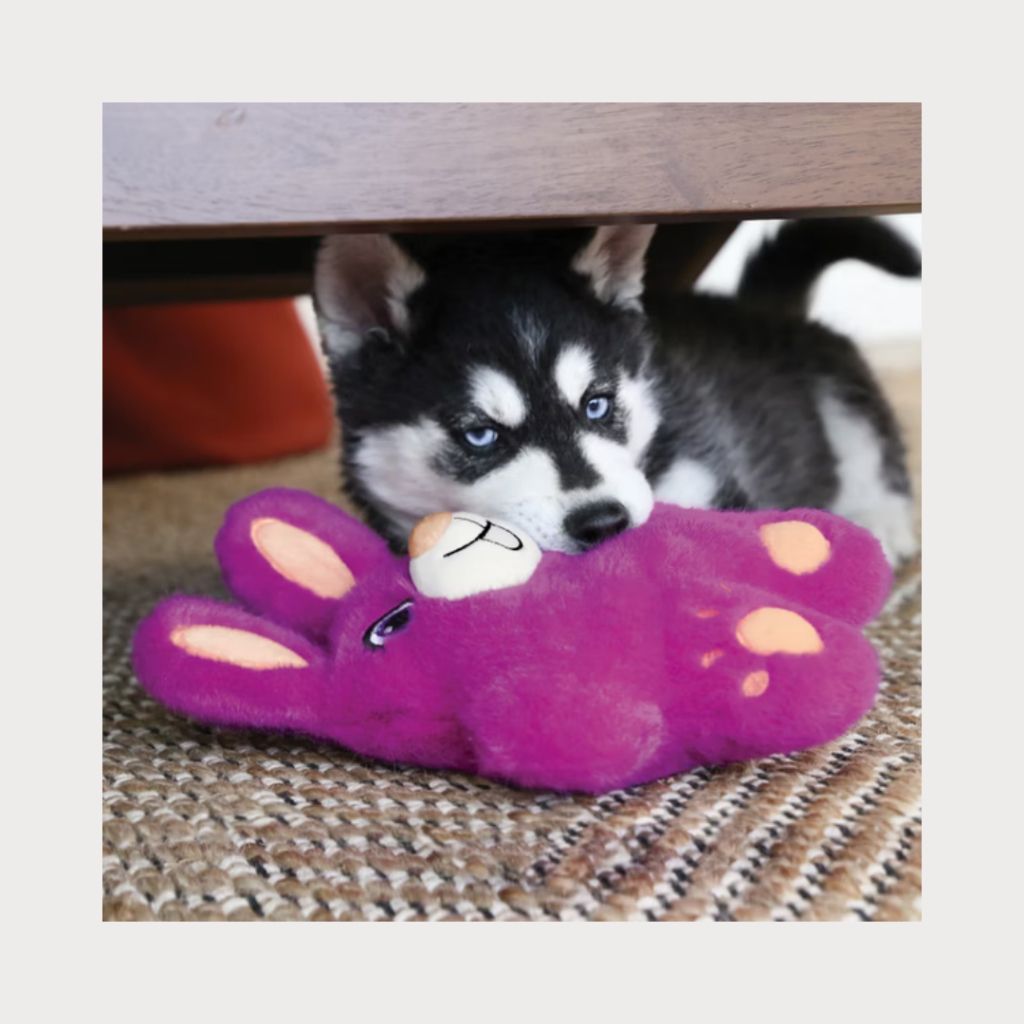 tw-11134207-7rbka-m8lfrdw7n9yx9e