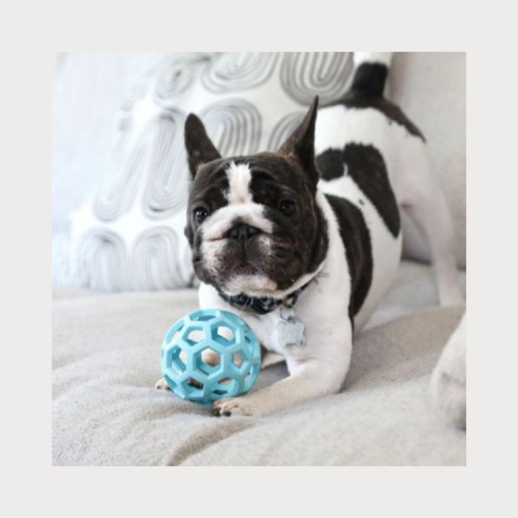 tw-11134207-7rbk1-m7hgtl1viqf688