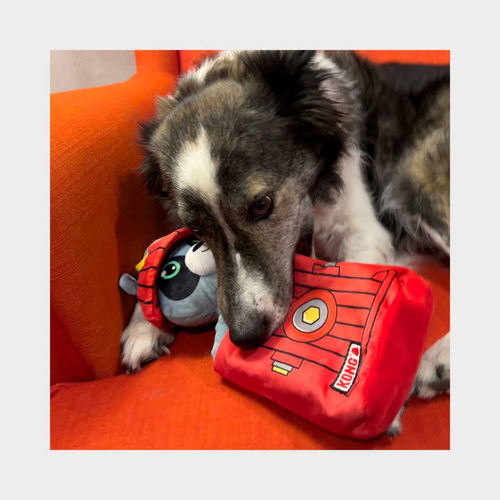 tw-11134207-7rbkd-m8li1bxeo1wg4f