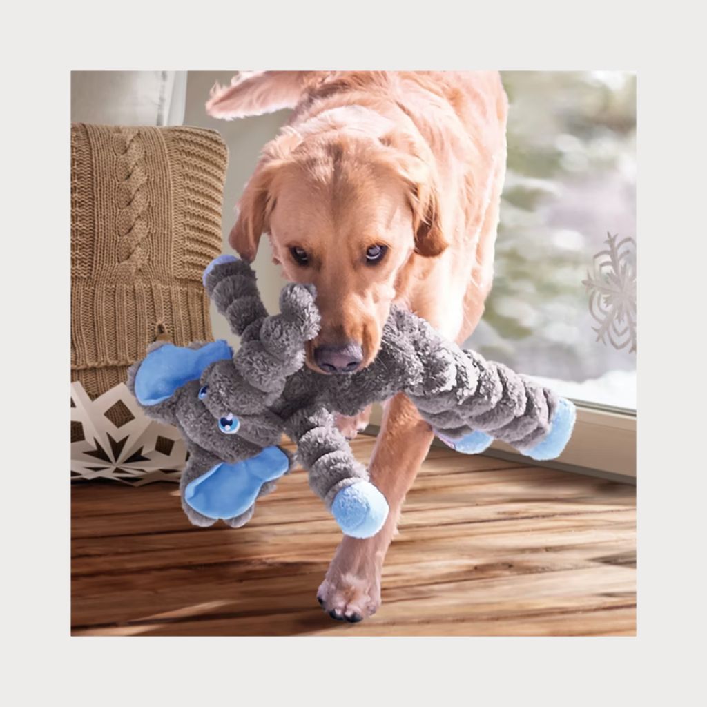 tw-11134207-7rbk8-m8lh29wjg6rd8b