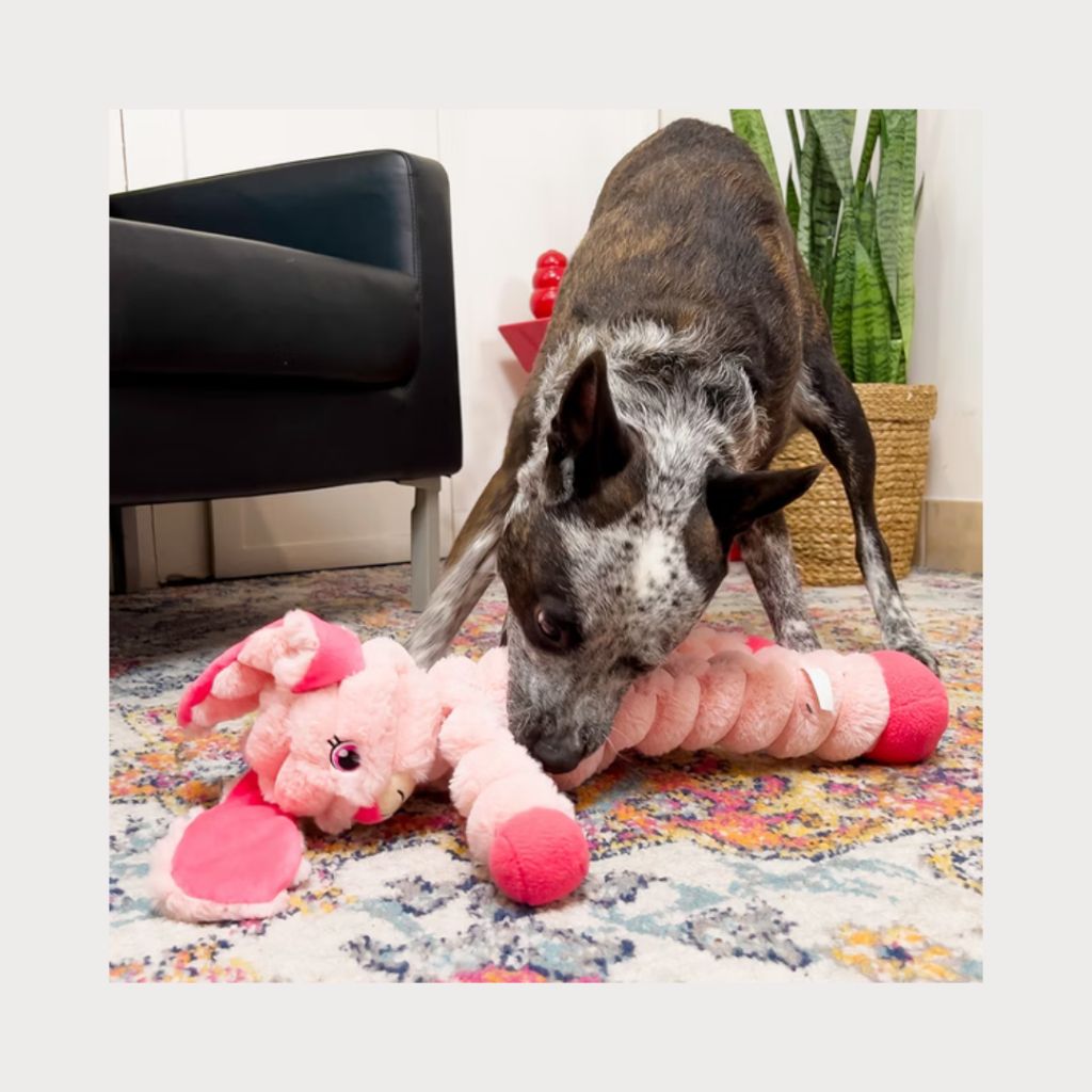 tw-11134207-7rbke-m8lh2c644ta1fd