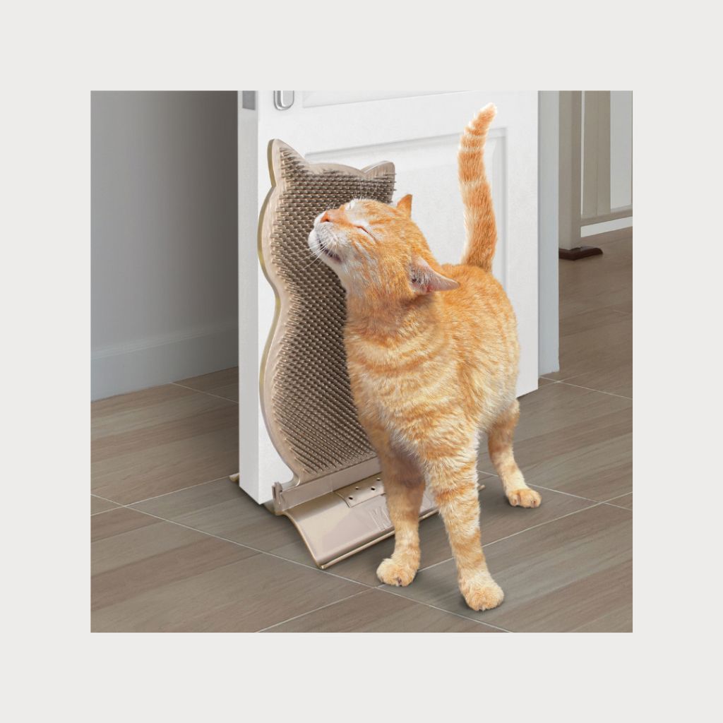 tw-11134207-7rbkb-m8lqm70b789155