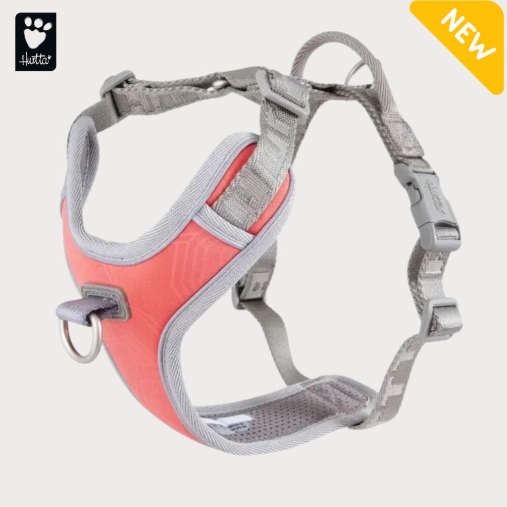 tw-11134207-7rbkb-m95mdhaqb7c748