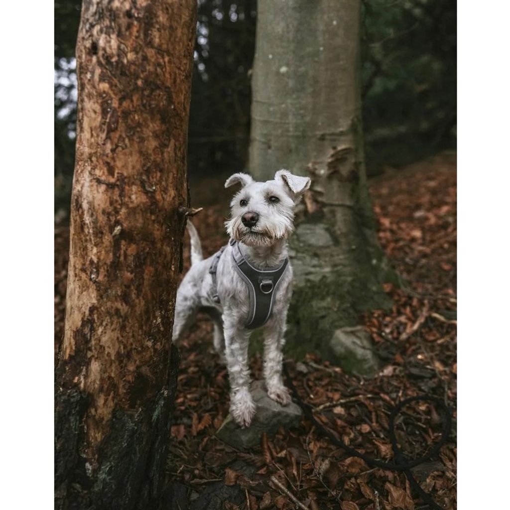 tw-11134207-23030-yb0ljgigipov5d