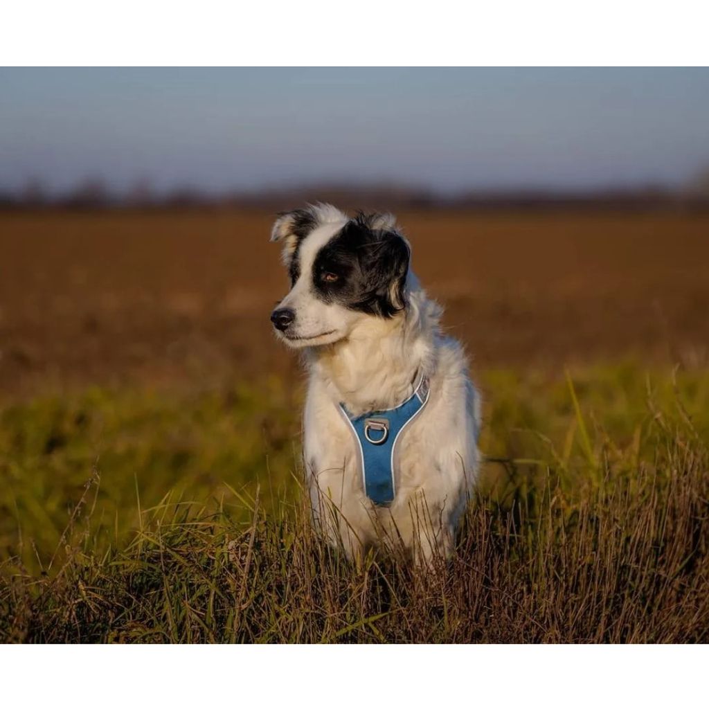 tw-11134207-23030-ztmg9ergipov16