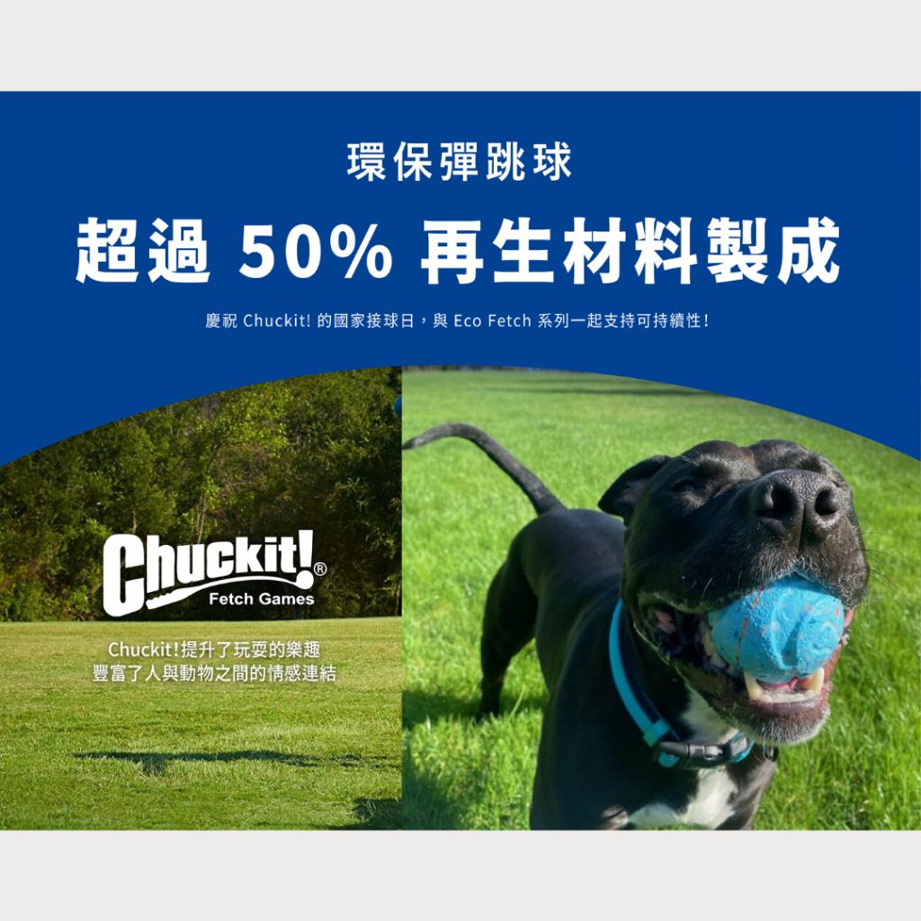 tw-11134207-7rbke-m81h9ojndjy151