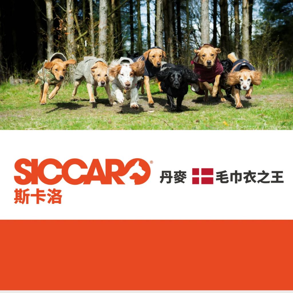 tw-11134207-7rbkb-m82vdcg9fl4089