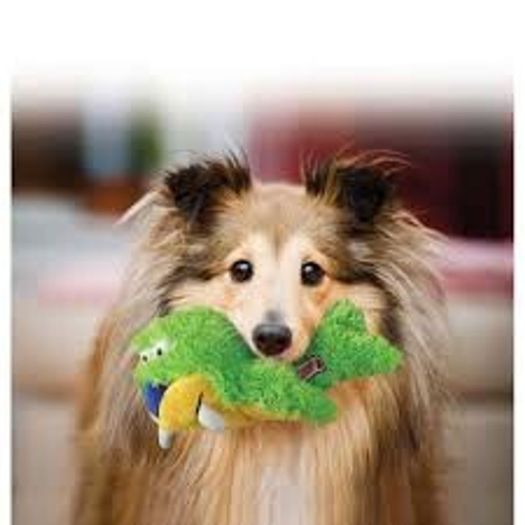 dc4649e461dac1a4bbc4c6cfcd2fecf7