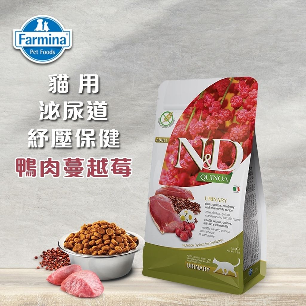 a687208ecf3dd771e604959fae7987f4