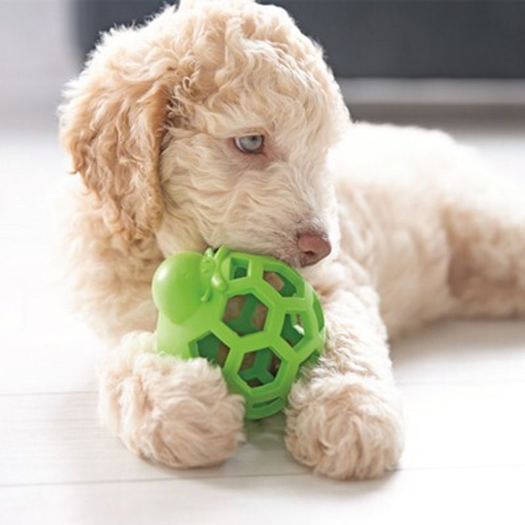 bab1a29a81d4b17a4dc4588b3595fdca