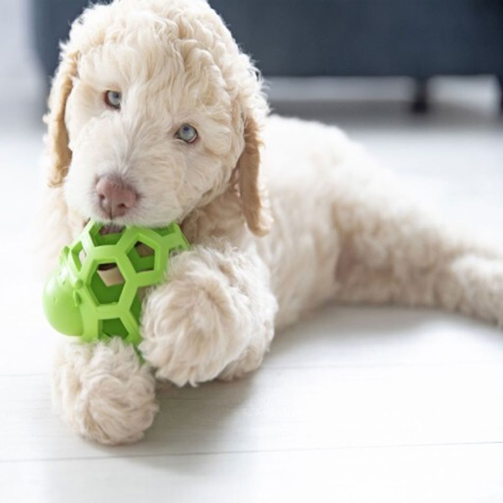 f5dc0ed2937458aeb942e333d323d7df