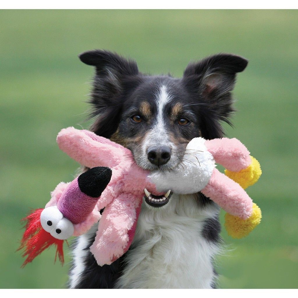 b9147d2e3727685fc836860fb834f708