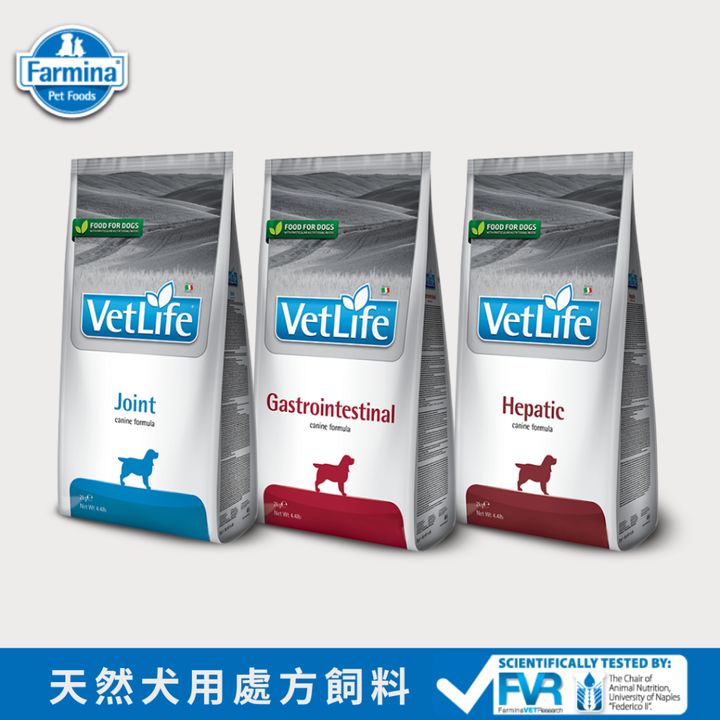 tw-11134207-7rasl-m59koahcqlo6ce