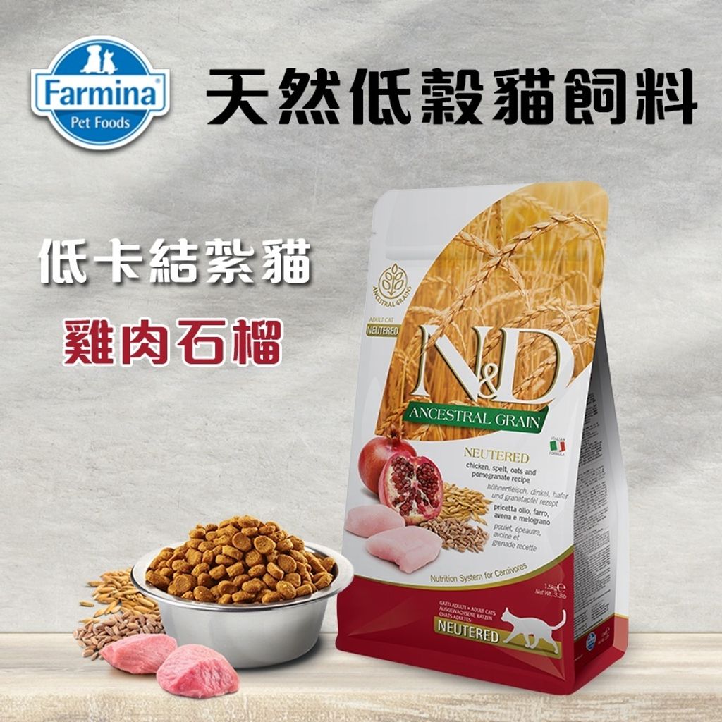 23b3febf83810917055a4808651bf7b6