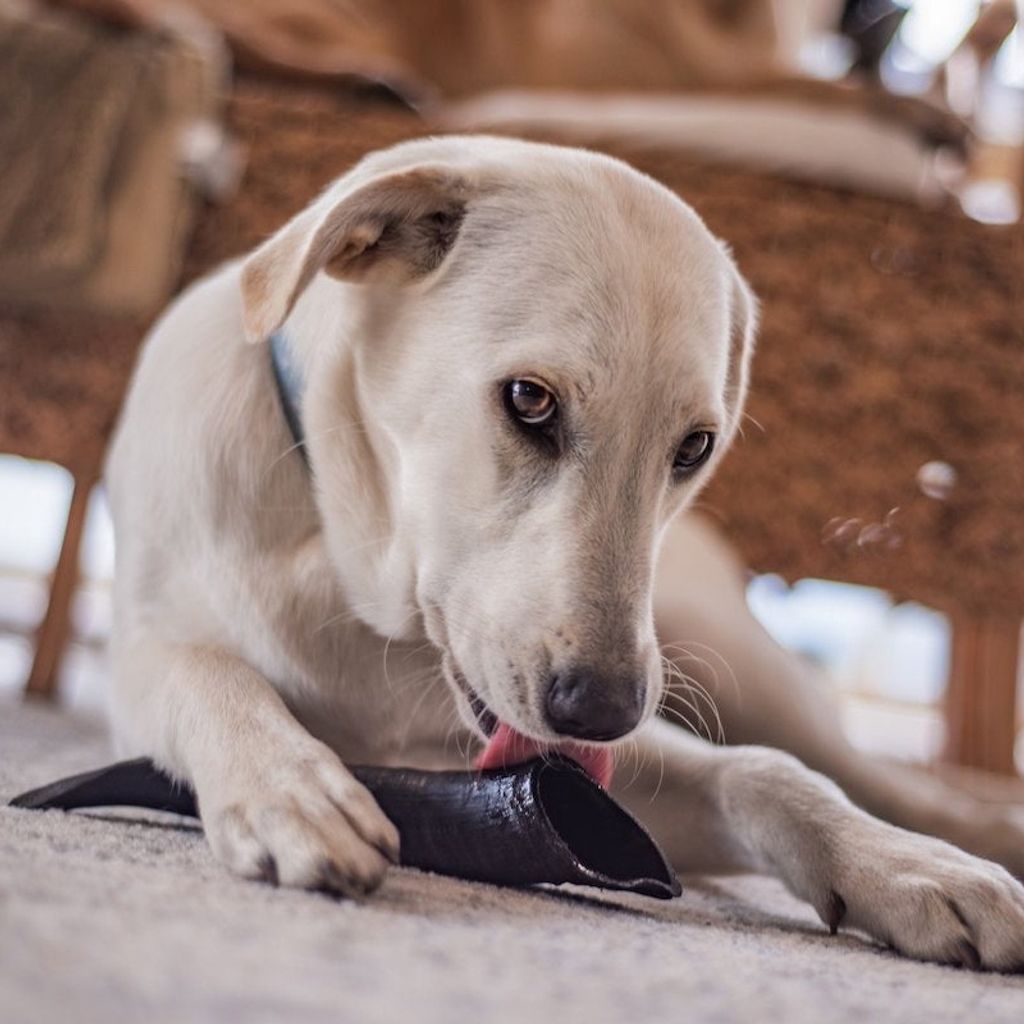 347a0a89fa25b6ebdbf75a5fa96e349c