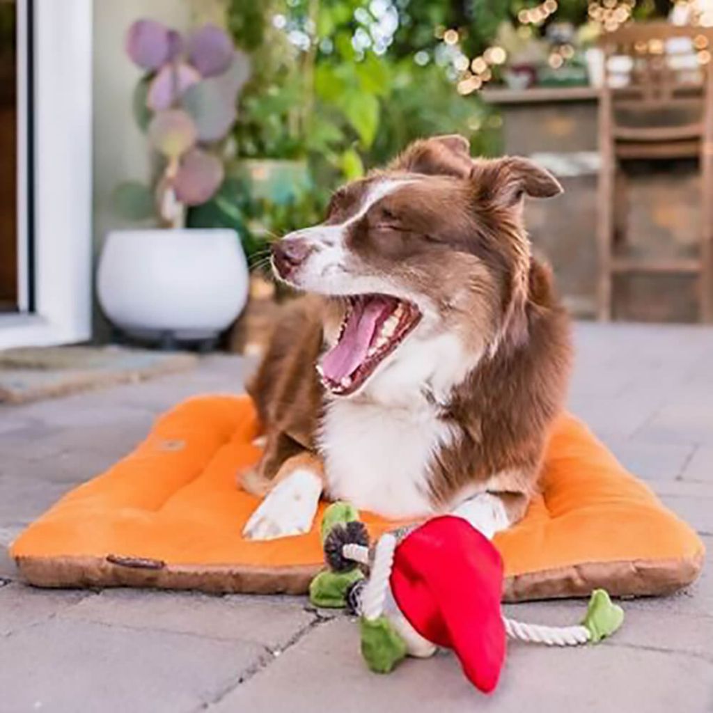 tw-11134207-7r98z-lzzrlwds6rku83