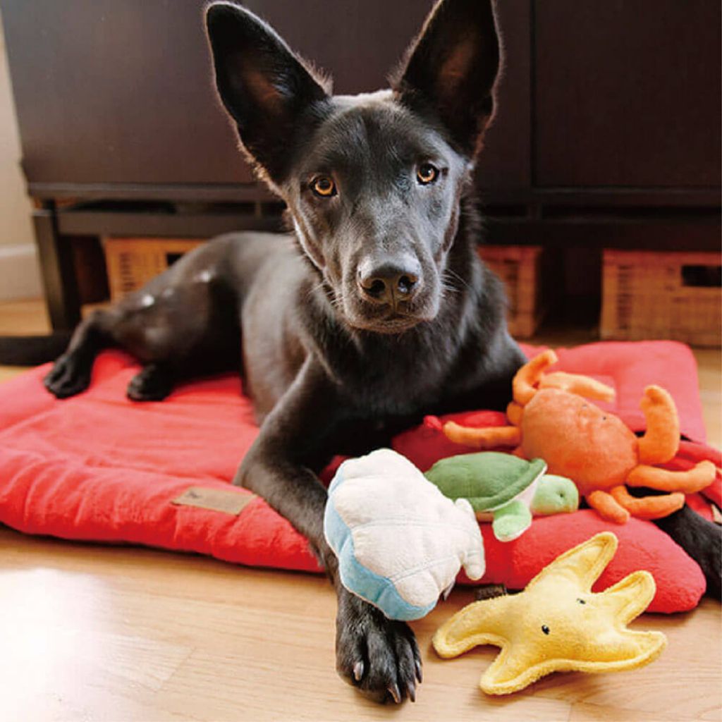 tw-11134207-7r98x-lzzrlyq4pxbof4