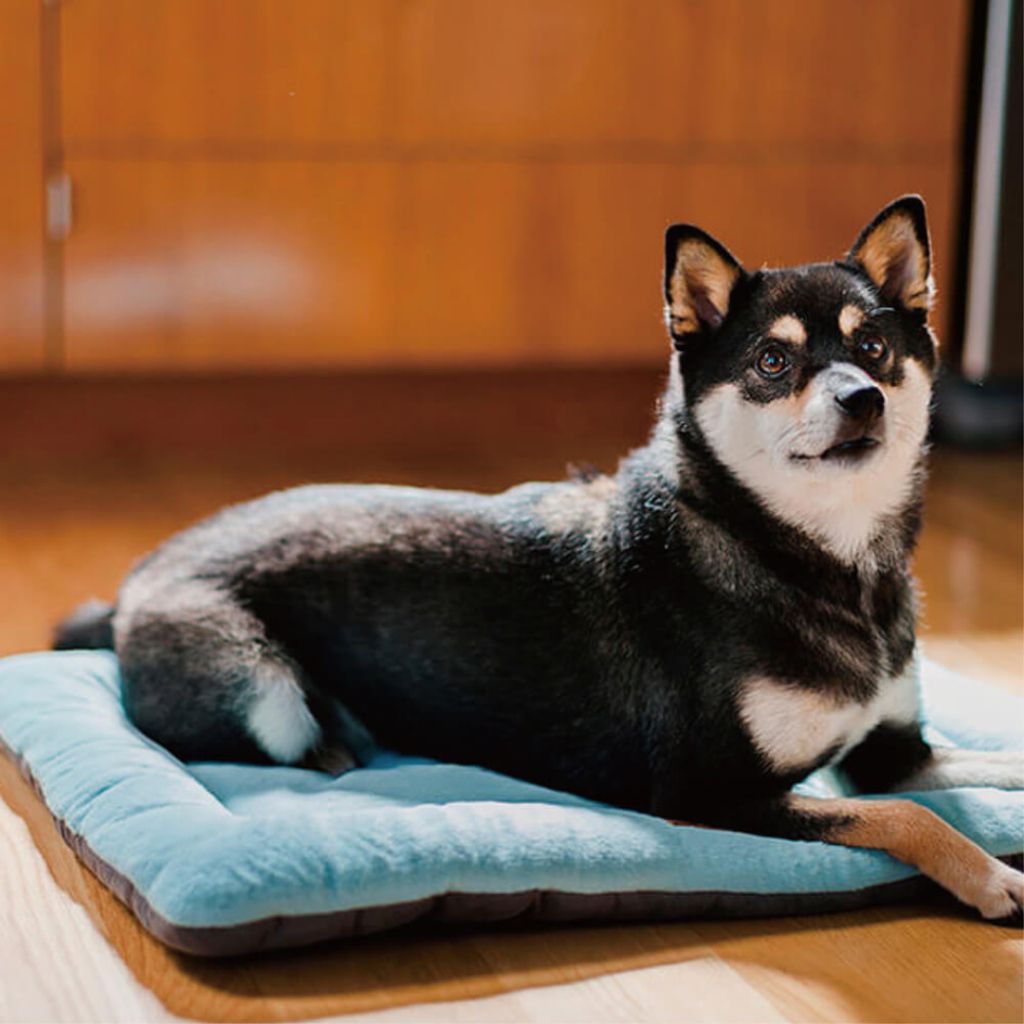 tw-11134207-7r98t-lzzrm1bcxhy622