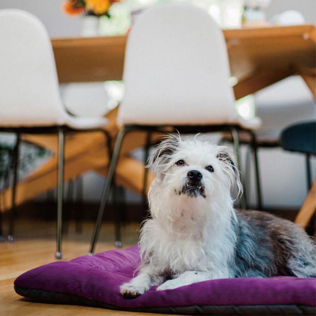 tw-11134207-7r98w-lzzrm4buiqk4a4