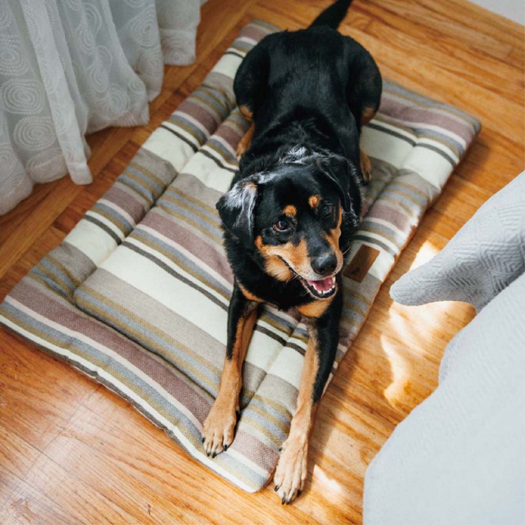 tw-11134207-7r98y-lzzuujgbbg2mf5