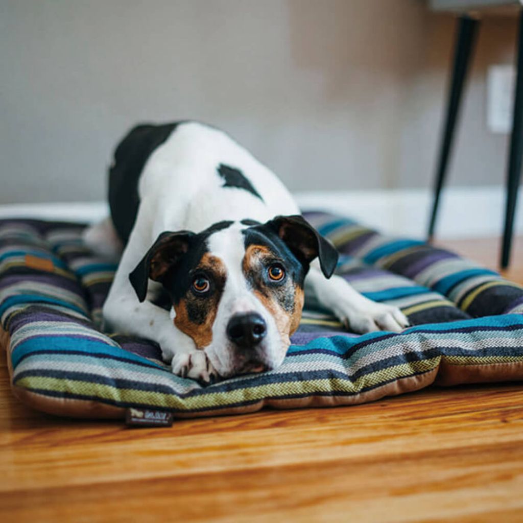 tw-11134207-7r98y-lzzuumrch984e6