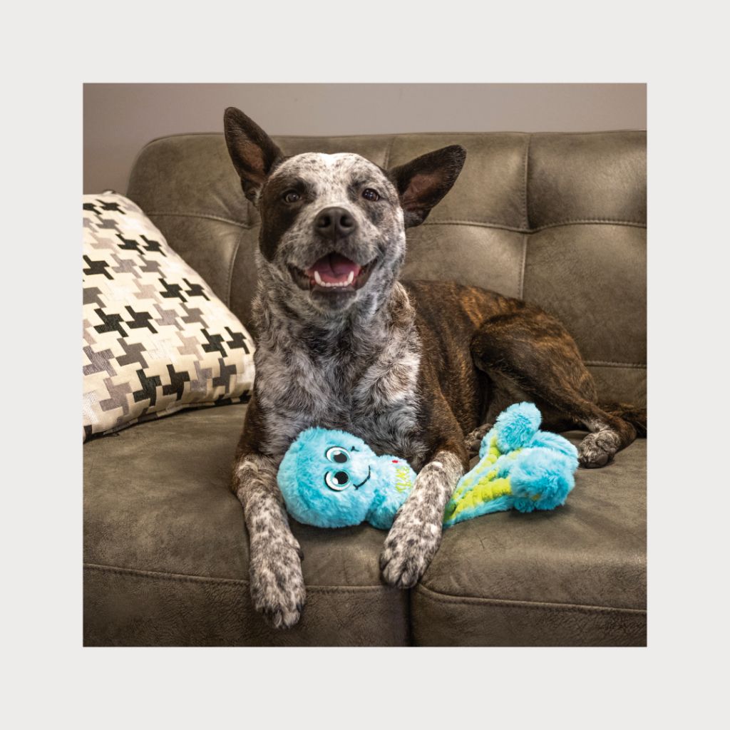 tw-11134207-7rbkd-m792arpxidns00