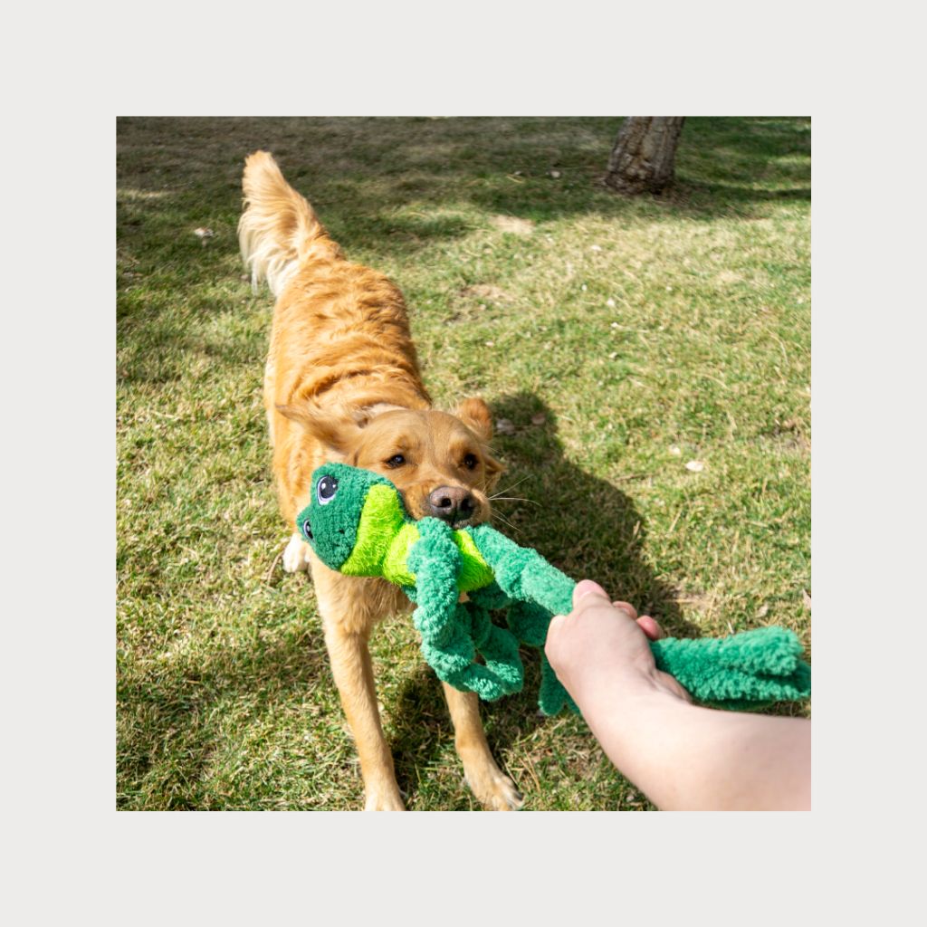 tw-11134207-7rbk6-m792udmmhxh6c2