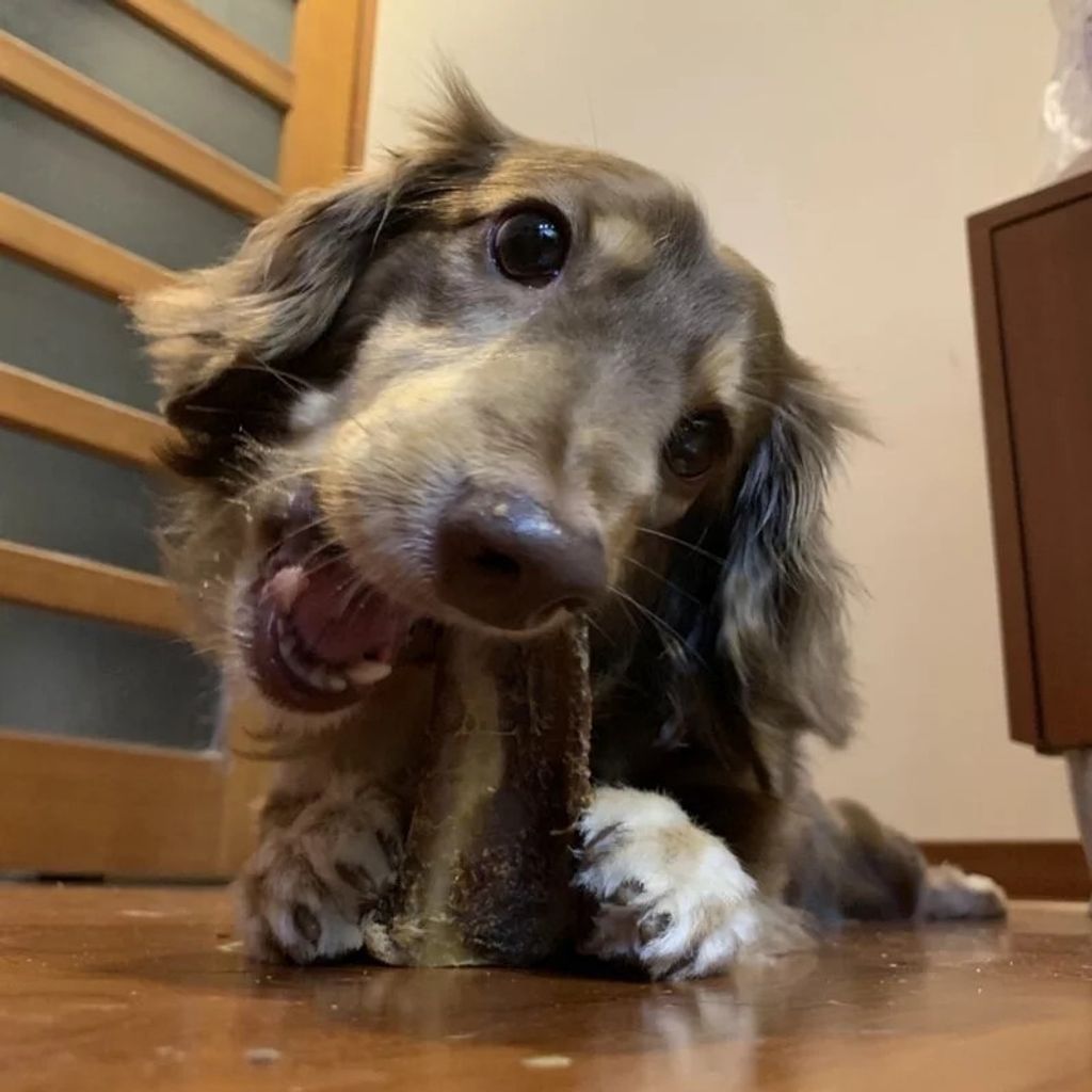 032eda3aa2eb89083c785e6ed49c8006