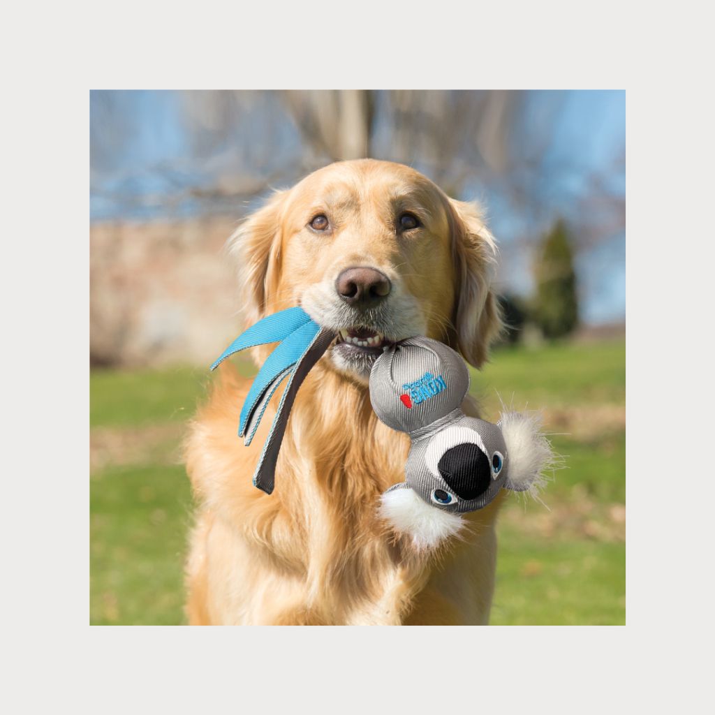 tw-11134207-7rbkc-m790tucjsh8i78