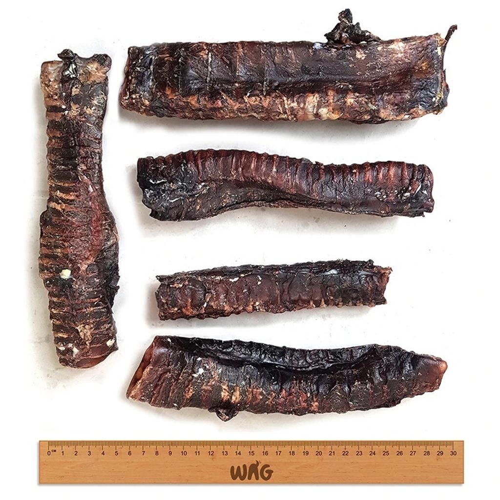 df6092a759d6bd29b3c0319cc4000414