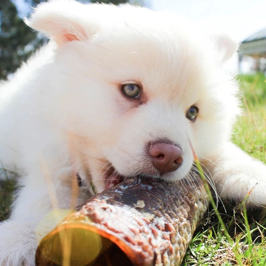 30c1c2bfdf93610b8f58496c571be1de