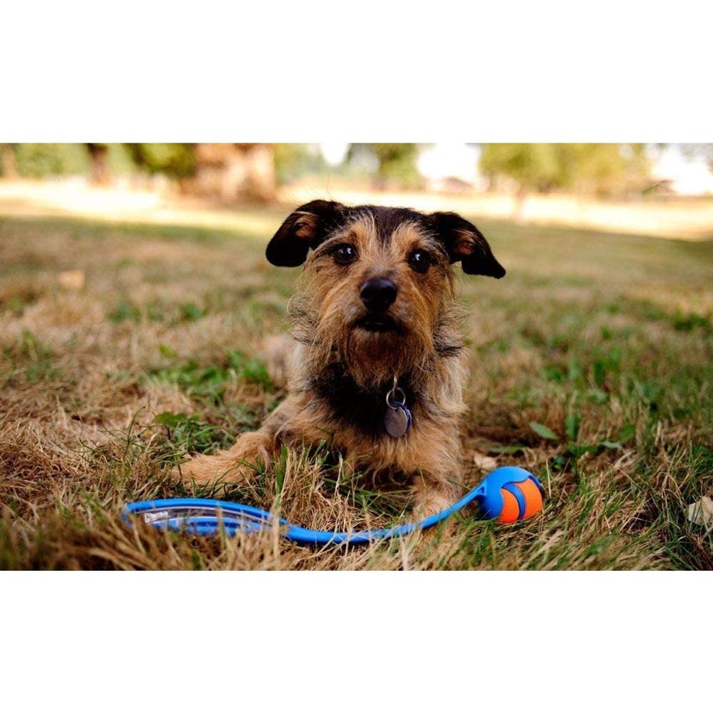 32eed4f05c6f98393e3a933545820d3f