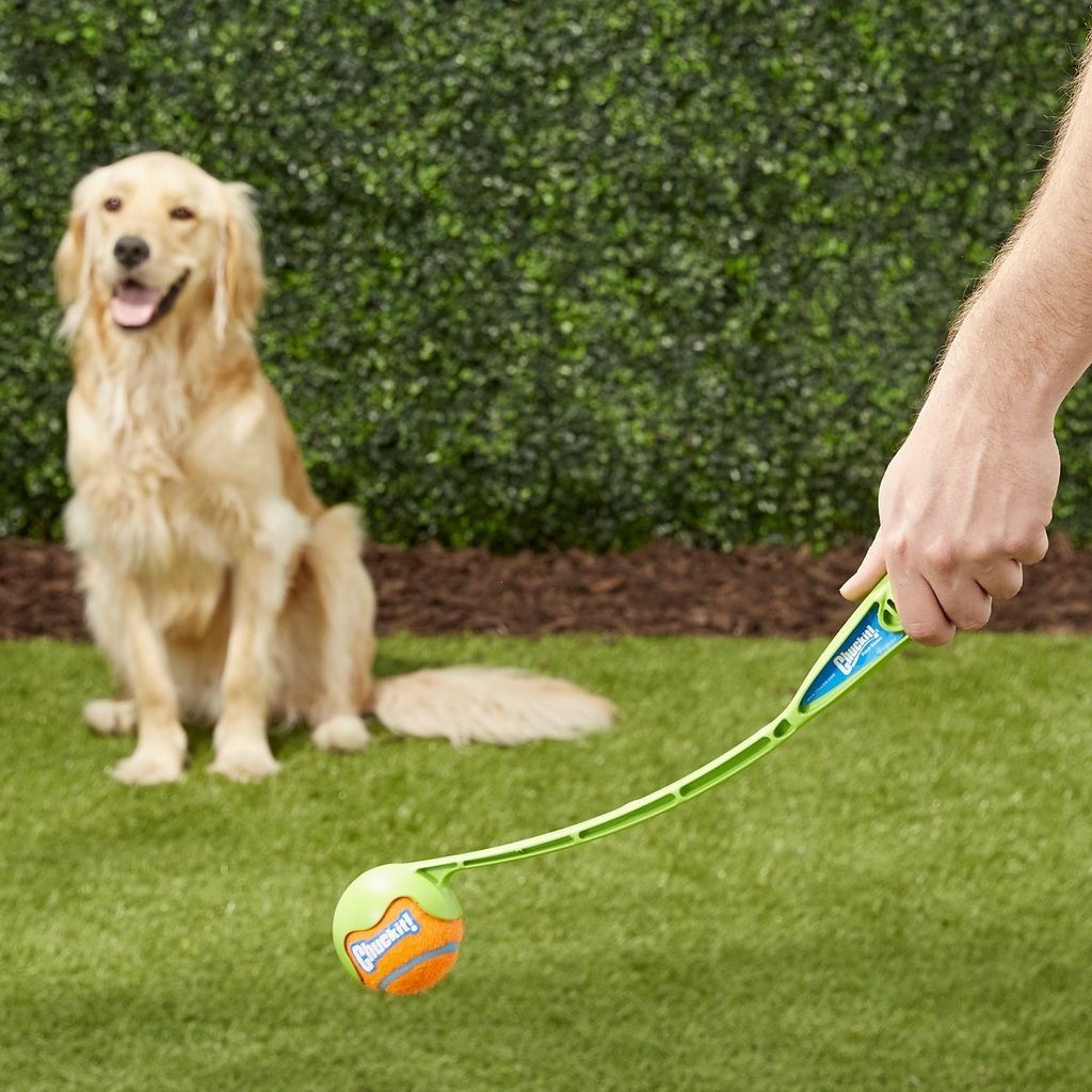 63370fcd053c7d3dcc52c7c35f726a71