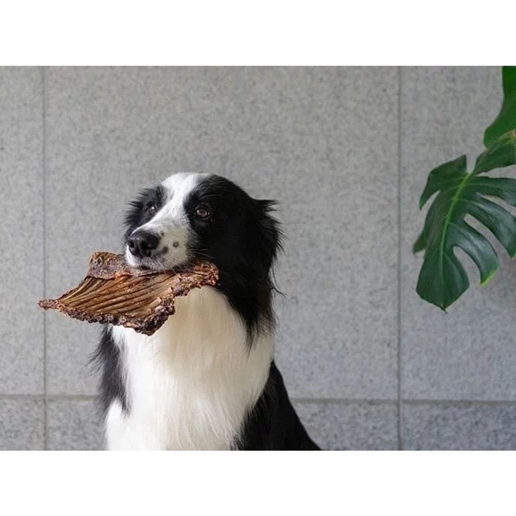 63f32053f1b6306ab179624a1f1fecce