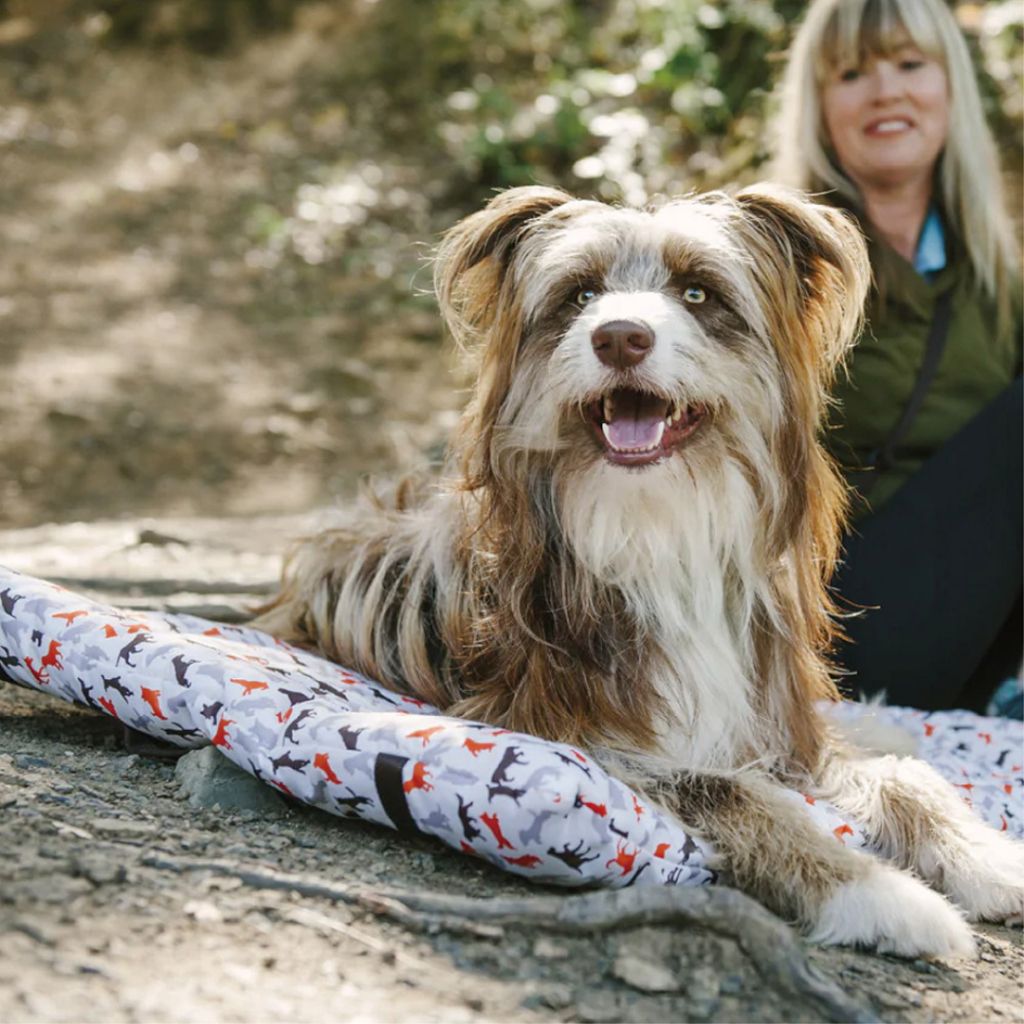 tw-11134207-7r98t-lzzqjoc3v5kkbe