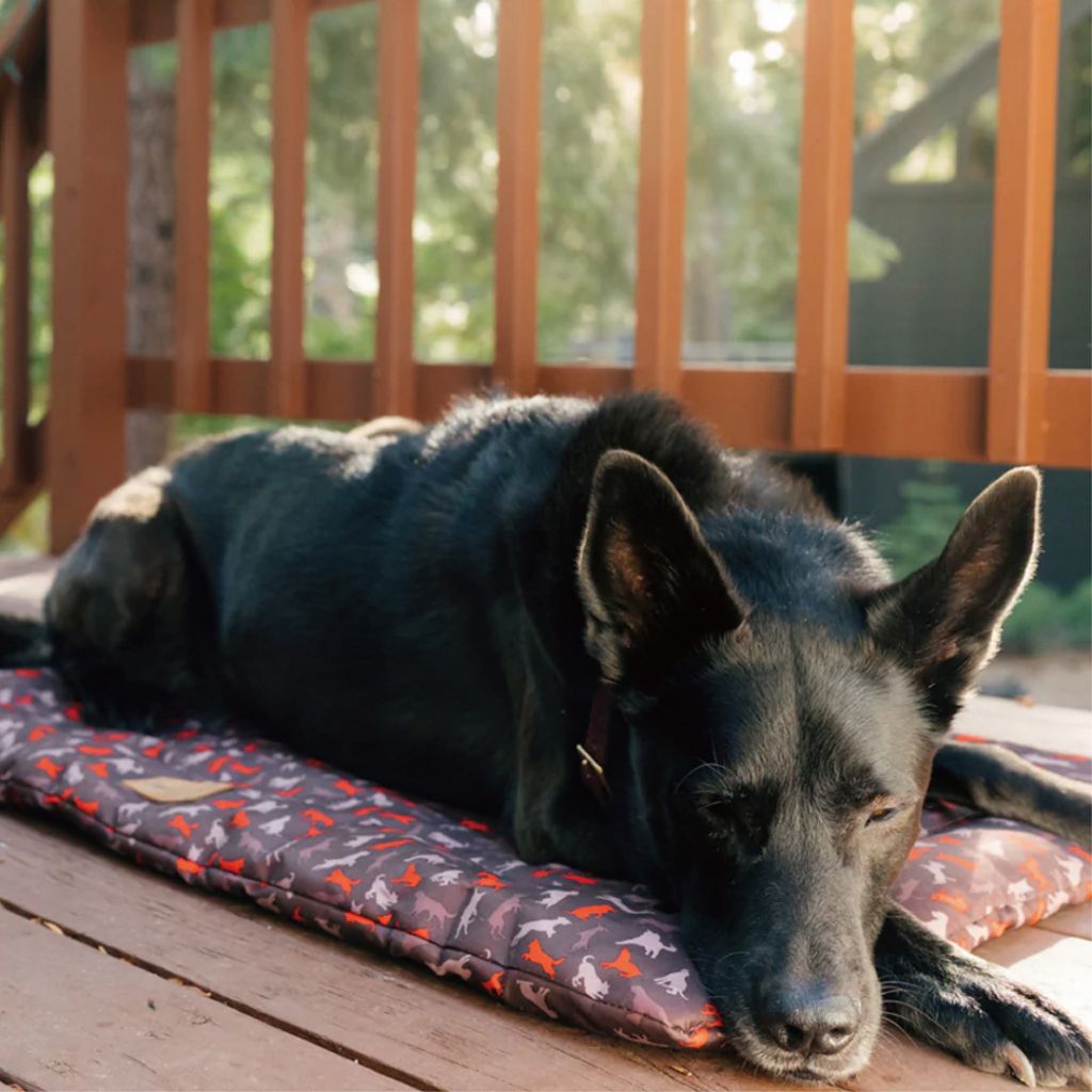 tw-11134207-7r98t-lzzqk11nb08k72